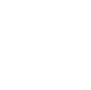 Instituto Elite Santé